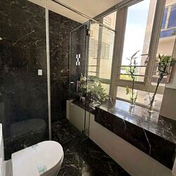 Flamingo Valley (D15), Condominium #556870621